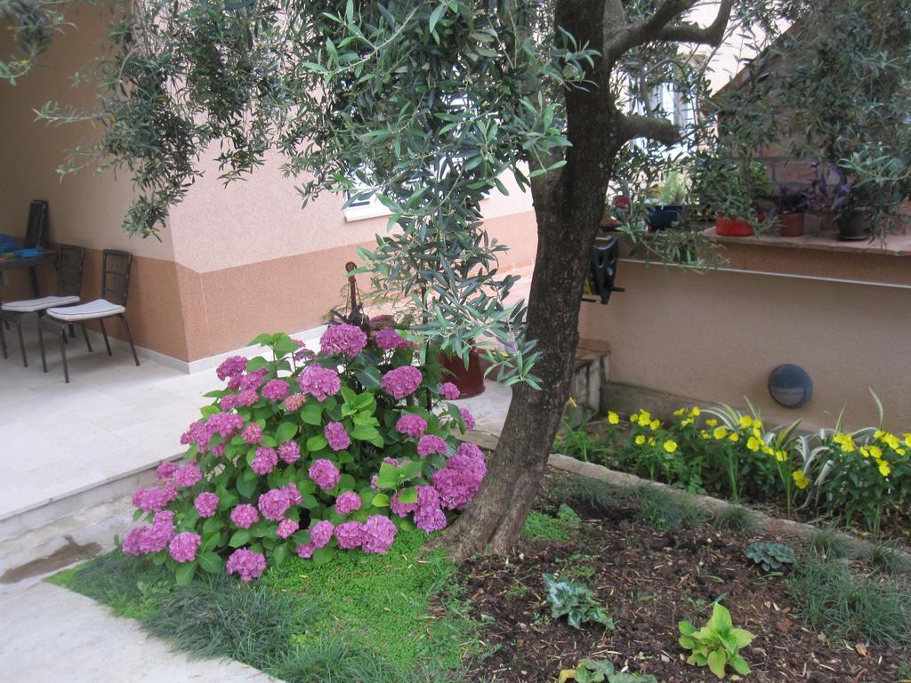Apartments City Center Tivat Dış mekan fotoğraf