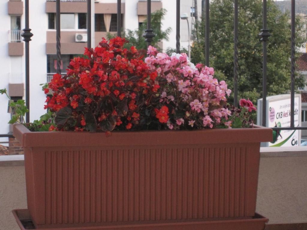 Apartments City Center Tivat Dış mekan fotoğraf