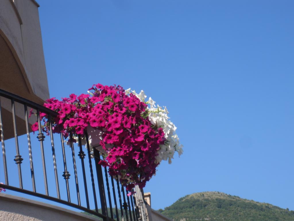 Apartments City Center Tivat Dış mekan fotoğraf