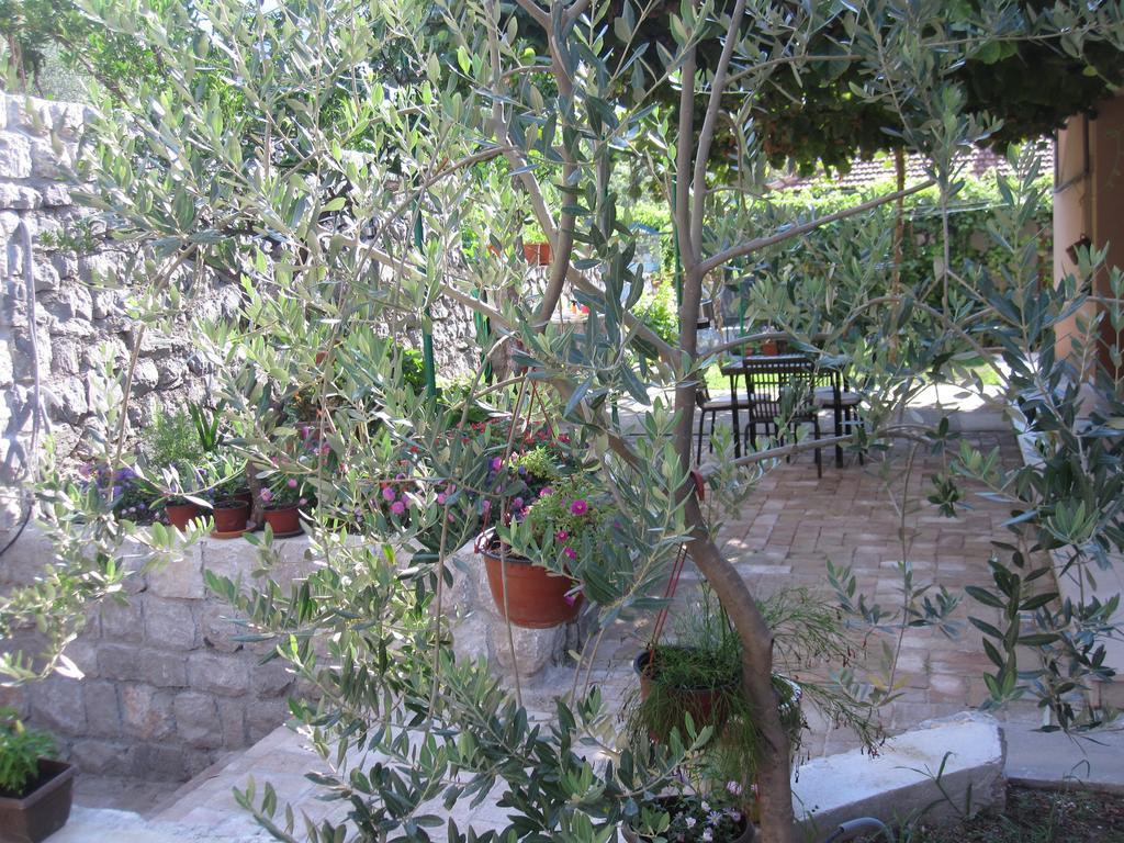 Apartments City Center Tivat Dış mekan fotoğraf